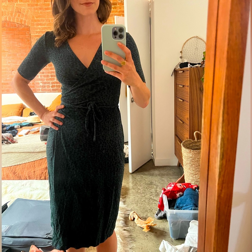 Amour Vert Green Leopard Wrap Dress